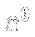 しゃべる犬(ビションフリーゼ)（個別スタンプ：23）