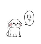 しゃべる犬(ビションフリーゼ)（個別スタンプ：24）