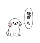 しゃべる犬(ビションフリーゼ)（個別スタンプ：28）