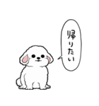 しゃべる犬(ビションフリーゼ)（個別スタンプ：29）