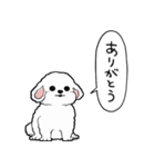 しゃべる犬(ビションフリーゼ)（個別スタンプ：30）