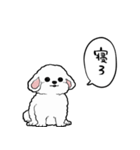 しゃべる犬(ビションフリーゼ)（個別スタンプ：31）