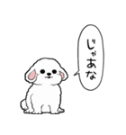 しゃべる犬(ビションフリーゼ)（個別スタンプ：32）