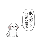 しゃべる犬(ビションフリーゼ)（個別スタンプ：33）
