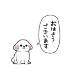 しゃべる犬(ビションフリーゼ)（個別スタンプ：34）