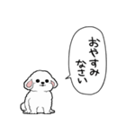 しゃべる犬(ビションフリーゼ)（個別スタンプ：35）