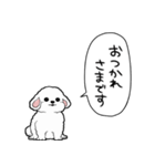 しゃべる犬(ビションフリーゼ)（個別スタンプ：36）