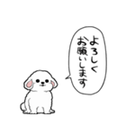 しゃべる犬(ビションフリーゼ)（個別スタンプ：40）