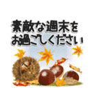 優しい秋のあいさつ（個別スタンプ：34）