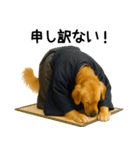 ゴールデンレトリバー★コスプレスタンプ♪（個別スタンプ：9）