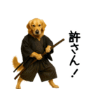 ゴールデンレトリバー★コスプレスタンプ♪（個別スタンプ：11）
