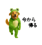 ゴールデンレトリバー★コスプレスタンプ♪（個別スタンプ：15）