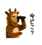 ゴールデンレトリバー★コスプレスタンプ♪（個別スタンプ：17）