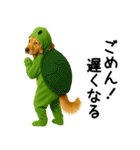 ゴールデンレトリバー★コスプレスタンプ♪（個別スタンプ：19）