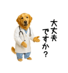 ゴールデンレトリバー★コスプレスタンプ♪（個別スタンプ：20）