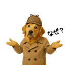 ゴールデンレトリバー★コスプレスタンプ♪（個別スタンプ：22）