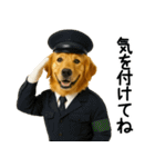 ゴールデンレトリバー★コスプレスタンプ♪（個別スタンプ：23）