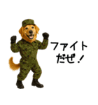ゴールデンレトリバー★コスプレスタンプ♪（個別スタンプ：24）
