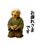 ゴールデンレトリバー★コスプレスタンプ♪（個別スタンプ：25）