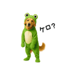 ゴールデンレトリバー★コスプレスタンプ♪（個別スタンプ：28）