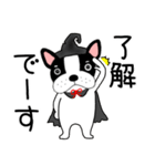 【秋】フレンチブルドックのブルちゃん50（個別スタンプ：1）