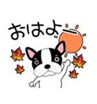 【秋】フレンチブルドックのブルちゃん50（個別スタンプ：7）