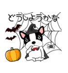 【秋】フレンチブルドックのブルちゃん50（個別スタンプ：20）