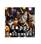 ハロウィンに使える仮装ねこスタンプ（個別スタンプ：3）