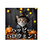 ハロウィンに使える仮装ねこスタンプ（個別スタンプ：4）