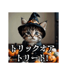 ハロウィンに使える仮装ねこスタンプ（個別スタンプ：8）