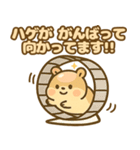 ハムハゲ（ハゲてるハムスター物語）（個別スタンプ：26）