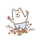 ぱんつ犬 ぴんちょす！〈秋編〉（個別スタンプ：29）