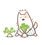 ぱんつ犬 ぴんちょす！〈秋編〉（個別スタンプ：33）
