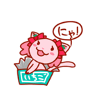 にゃんこしょこら（個別スタンプ：1）
