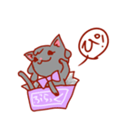 にゃんこしょこら（個別スタンプ：3）