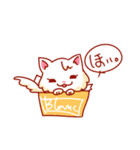 にゃんこしょこら（個別スタンプ：6）