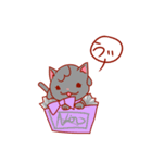 にゃんこしょこら（個別スタンプ：7）
