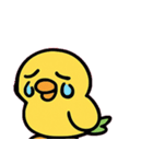 おしゃべりインコのひとこと日記@SFW（個別スタンプ：12）