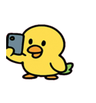 おしゃべりインコのひとこと日記@SFW（個別スタンプ：16）