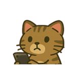 イリオモテヤマネコのつれない日常@SFW（個別スタンプ：1）