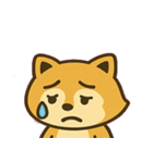 わんぱくアライグマのゆる日常@SFW（個別スタンプ：7）