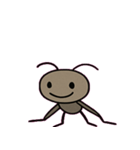 すいすいアメンボのごきげん日和@SFW（個別スタンプ：3）