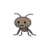 すいすいアメンボのごきげん日和@SFW（個別スタンプ：14）