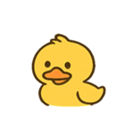 おしゃべりアヒルのつぶやき便@SFW（個別スタンプ：5）