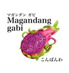 南国のドラゴンフルーツ【タガログ語】（個別スタンプ：2）