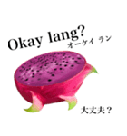 南国のドラゴンフルーツ【タガログ語】（個別スタンプ：4）