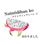 南国のドラゴンフルーツ【タガログ語】（個別スタンプ：7）