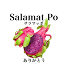 南国のドラゴンフルーツ【タガログ語】（個別スタンプ：8）