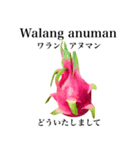 南国のドラゴンフルーツ【タガログ語】（個別スタンプ：9）