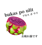 南国のドラゴンフルーツ【タガログ語】（個別スタンプ：12）